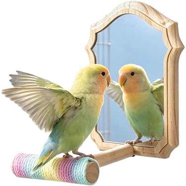 Amazon.co.jp 最新リリース: 鳥用おもちゃ の新着ランキングです。